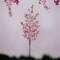 12-Pack Massive Dark Pink Cherry Blossom Spray - Lifelike Floral Accents for Home Décor & Spring Arrangements - Elegant Touch, Floral Home by Artificial Flowers